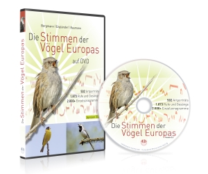 Bergmann, Hans-Heiner / Engländer, Wiltraud et al. Die Stimmen der Vögel Europas auf DVD - 502 Artporträts - 1.873 Rufe und Gesänge - über 2.000 Einzelsonagramme. Aula-Verlag GmbH, 2021.