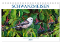 Schwanzmeisen (Tischkalender 2024 DIN A5 quer), CALVENDO Monatskalender