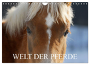 Welt der Pferde (Wandkalender 2025 DIN A4 quer), CALVENDO Monatskalender