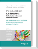Praxishandbuch Kinderschutz für Fachkräfte und insoweit erfahrene Fachkräfte