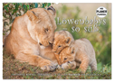 Emotionale Momente: Löwenbabys - so süß. (Wandkalender 2024 DIN A2 quer), CALVENDO Monatskalender