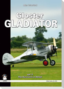 Gloster Gladiator