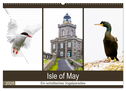 Isle of May - Ein schottisches Vogelparadies (Wandkalender 2025 DIN A2 quer), CALVENDO Monatskalender