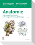 Benninghoff/Drenckhahn, Anatomie
