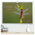 Libellen im Ried (hochwertiger Premium Wandkalender 2025 DIN A2 quer), Kunstdruck in Hochglanz