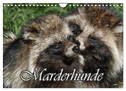 Marderhunde (Wandkalender 2025 DIN A4 quer), CALVENDO Monatskalender