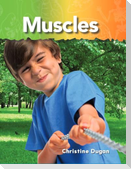 Muscles