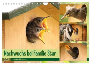 Hultsch, Heike. Nachwuchs bei Familie Star (Wandkalender 2024 DIN A4 quer), CALVENDO Monatskalender - Brutzeit der Stare. Calvendo, 2023.