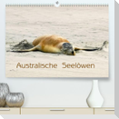 Australische Seelöwen (Premium, hochwertiger DIN A2 Wandkalender 2023, Kunstdruck in Hochglanz)
