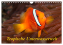 Tropische Unterwasserwelt (Wandkalender 2024 DIN A4 quer), CALVENDO Monatskalender