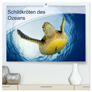 Jager, Henry. Schildkröten des Ozeans (hochwertiger Premium Wandkalender 2024 DIN A2 quer), Kunstdruck in Hochglanz - Alle lieben Schildkröten! Und Meeresschildkröten ganz besonders!. Calvendo, 2023.