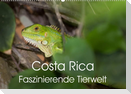 Costa Rica. Faszinierende Tierwelt (Wandkalender 2023 DIN A2 quer)