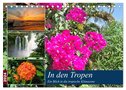 In den Tropen - Ein Blick in die tropische Klimazone (Tischkalender 2024 DIN A5 quer), CALVENDO Monatskalender