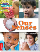 Cambridge Reading Adventures Our Senses Red Band