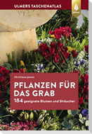 Pflanzen für das Grab
