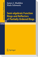 Semi-algebraic Function Rings and Reflectors of Partially Ordered Rings