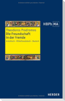 Die Freundschaft in der Fremde