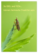 So EDEL und FEIN... können heimische Insekten sein (Wandkalender 2024 DIN A2 hoch), CALVENDO Monatskalender