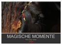 Magische Momente - Pferde Horses Caballos (Wandkalender 2024 DIN A2 quer), CALVENDO Monatskalender