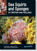 Sea Squirts and Sponges of Britain and Ireland