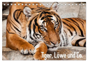 Tiger, Löwe und Co. (Tischkalender 2024 DIN A5 quer), CALVENDO Monatskalender