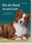 Wie der Hund zu uns kam