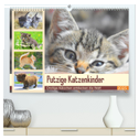 Putzige Katzenkinder. Drollige Kätzchen entdecken die Welt! (hochwertiger Premium Wandkalender 2025 DIN A2 quer), Kunstdruck in Hochglanz