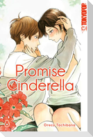 Promise Cinderella 08