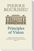Principles of Vision