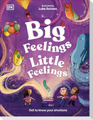 Big Feelings, Little Feelings