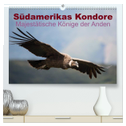Südamerikas Kondore - Majestätische Könige der Anden (hochwertiger Premium Wandkalender 2024 DIN A2 quer), Kunstdruck in Hochglanz