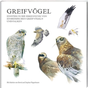 Pöppelmann, Bernd / Stephan Pöppelmann. Greifvögel - Einstieg in die Erkennung von einheimischen Greifvögeln und Falken. Tecklenborg Verlag GmbH, 2024.