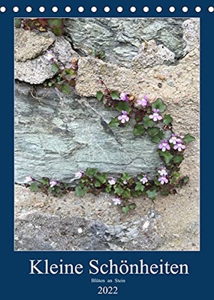 Zapf, Gabi. Kleine Schönheiten an Stein (Tischkalender 2022 DIN A5 hoch) - Kleine Blüten auf dem Weg zur Achtsamkeit. (Monatskalender, 14 Seiten ). Calvendo, 2021.