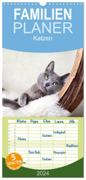 Familienplaner 2024 - Katzen mit 5 Spalten (Wandkalender, 21 x 45 cm) CALVENDO