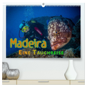 Madeira, eine Tauchreise (hochwertiger Premium Wandkalender 2024 DIN A2 quer), Kunstdruck in Hochglanz