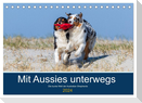 Mit Aussies unterwegs - Die bunte Welt der Australian Shepherds (Tischkalender 2024 DIN A5 quer), CALVENDO Monatskalender