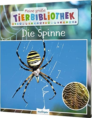 Poschadel, Jens. Meine große Tierbibliothek: Die Spinne - Sachbuch für Vorschule & Grundschule. Esslinger Verlag, 2021.