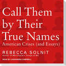 Call Them by Their True Names: American Crises (and Essays)