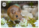 Grüsse von der Maus! (Tischkalender 2024 DIN A5 quer), CALVENDO Monatskalender