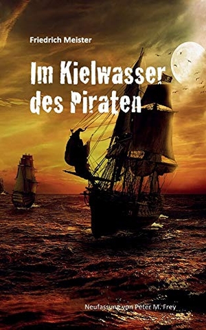 Meister, Friedrich. Im Kielwasser des Piraten. Books on Demand, 2017.