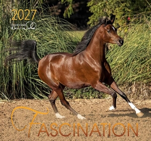 Boiselle, Gabriele (Hrsg.). Fascination 2027 - Arabische Pferde. Edition Boiselle, 2026.