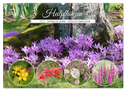 Heilpflanzen - Schätze im Garten (Wandkalender 2024 DIN A2 quer), CALVENDO Monatskalender