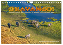 Okavango! Atemberaubende Naturschönheit im größten Binnendelta der Welt (Wandkalender 2024 DIN A4 quer), CALVENDO Monatskalender