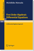 First Order Algebraic Differential Equations