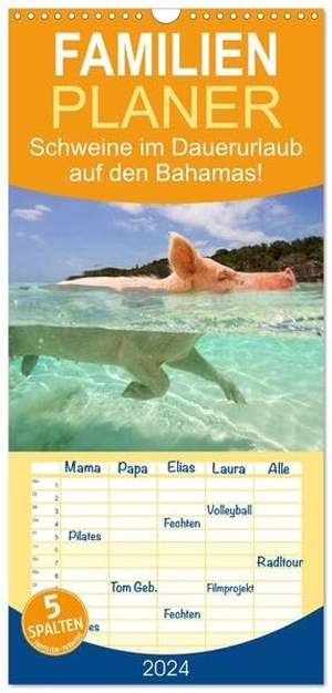 Stanzer, Elisabeth. Familienplaner 2024 - Schweine im Dauerurlaub auf den Bahamas! mit 5 Spalten (Wandkalender, 21 x 45 cm) CALVENDO - Schwimmende Schweine auf den Exumas auf der Insel "Big Major Cay!. Calvendo, 2023.