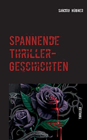 Hübner, Sandro. Spannende Thriller-Geschichten. TWENTYSIX CRIME, 2018.