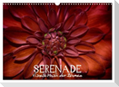 Serenade - Visuelle Musik der Blumen (Wandkalender 2025 DIN A3 quer), CALVENDO Monatskalender