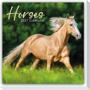 Horses - Pferde 2027 - 16-Monatskalender