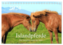 Islandpferde - Die tierischen Stars der Insel (Tischkalender 2024 DIN A5 quer), CALVENDO Monatskalender