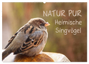 NATUR PUR Heimische Singvögel (Wandkalender 2025 DIN A2 quer), CALVENDO Monatskalender